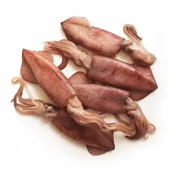 Страница пока в разработке