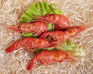 Коллекция №1 в разработке